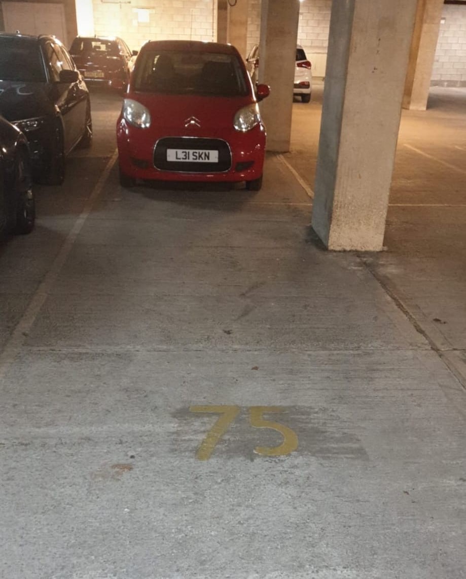 174592444575.JPG
